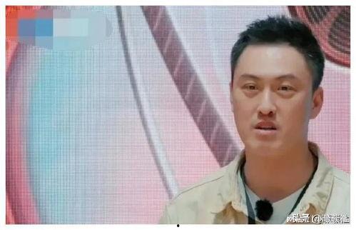 娱乐圈吃瓜爆料小说一口气看完,一瓜在手，娱乐圈尽在掌握